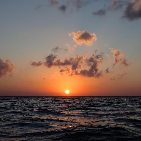 Ikarus Costa Mujeres Eco Lodge Sunset View Cancún Eksteriør billede
