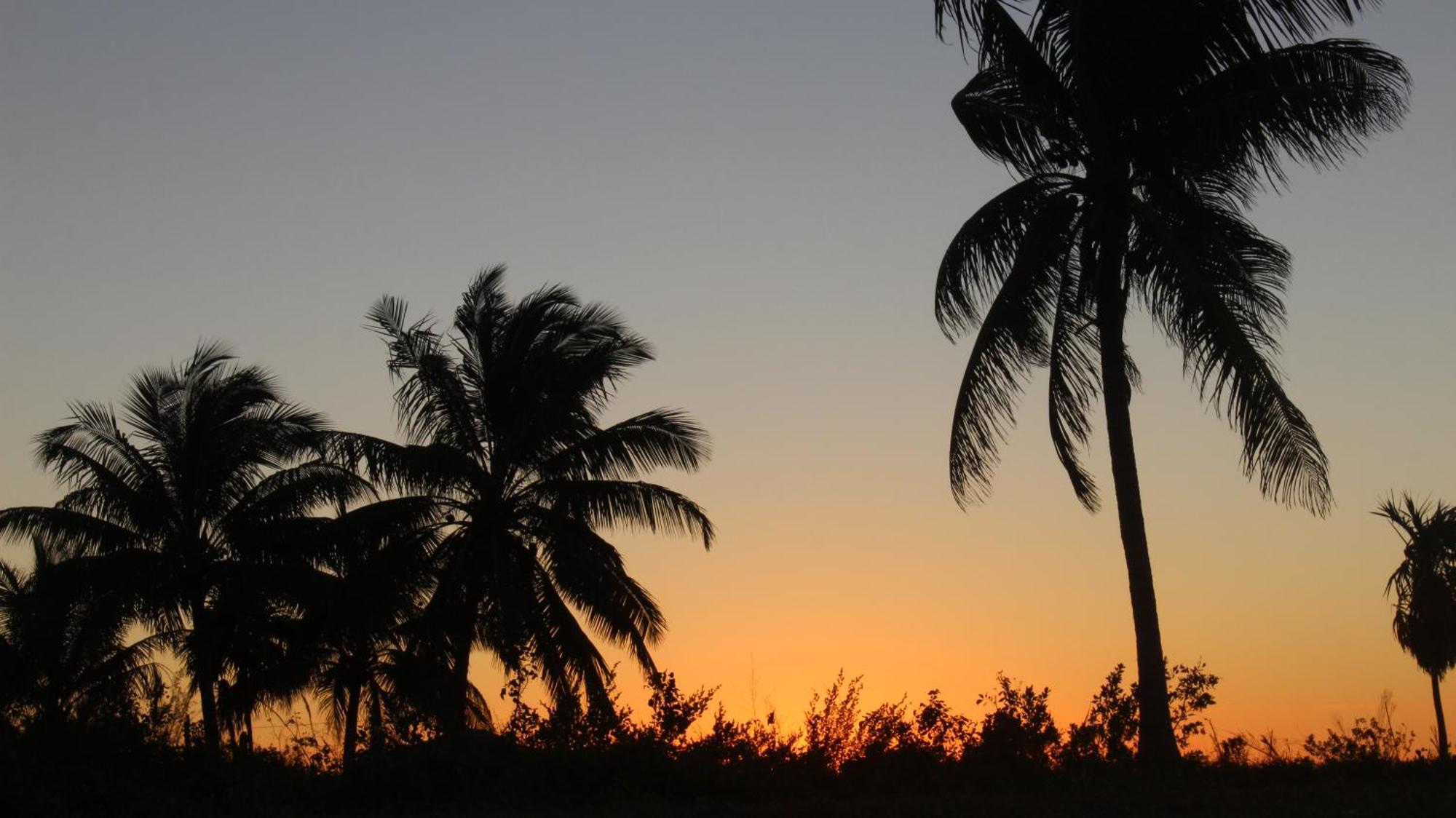 Ikarus Costa Mujeres Eco Lodge Sunset View Cancún Eksteriør billede