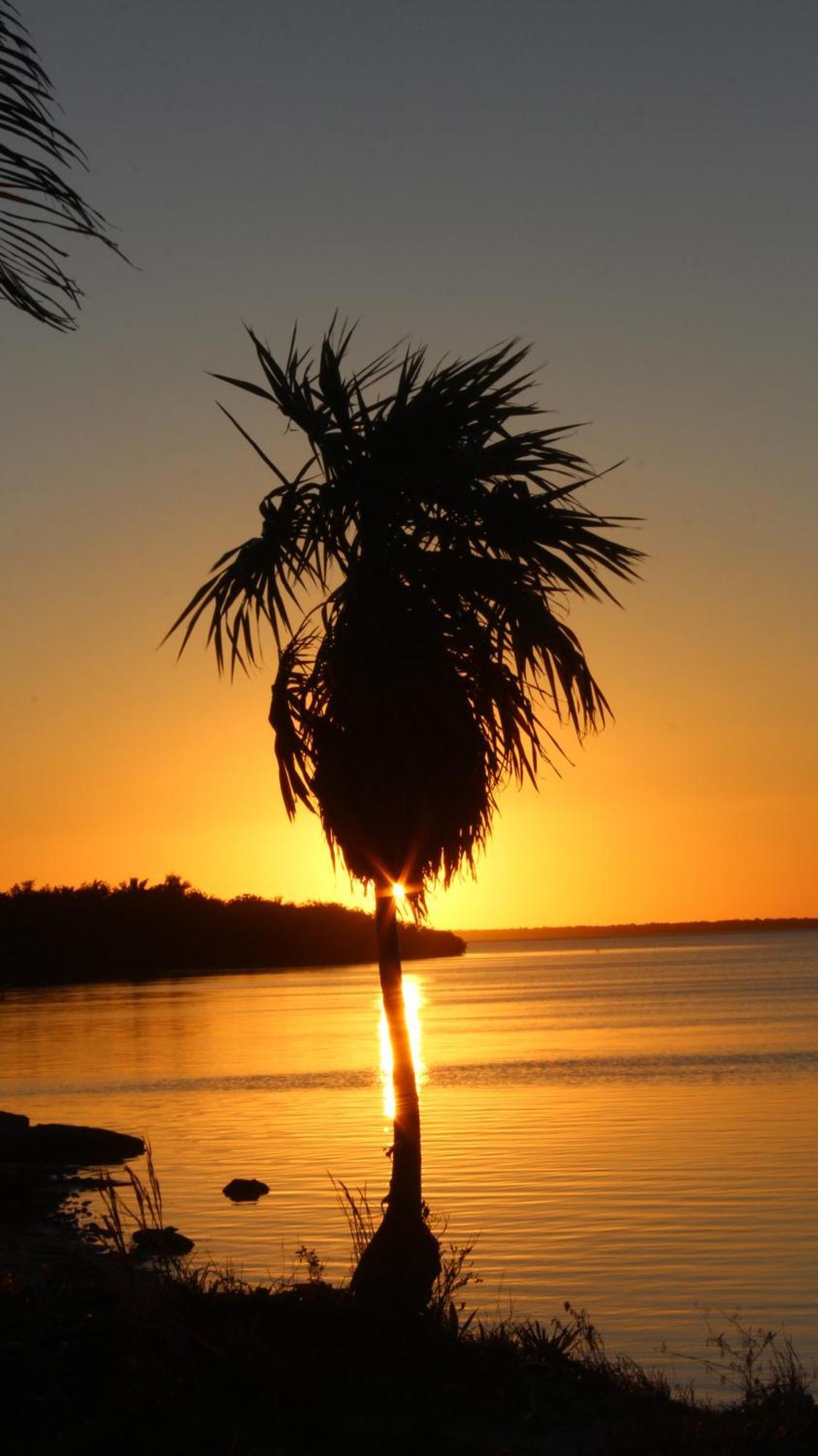 Ikarus Costa Mujeres Eco Lodge Sunset View Cancún Eksteriør billede