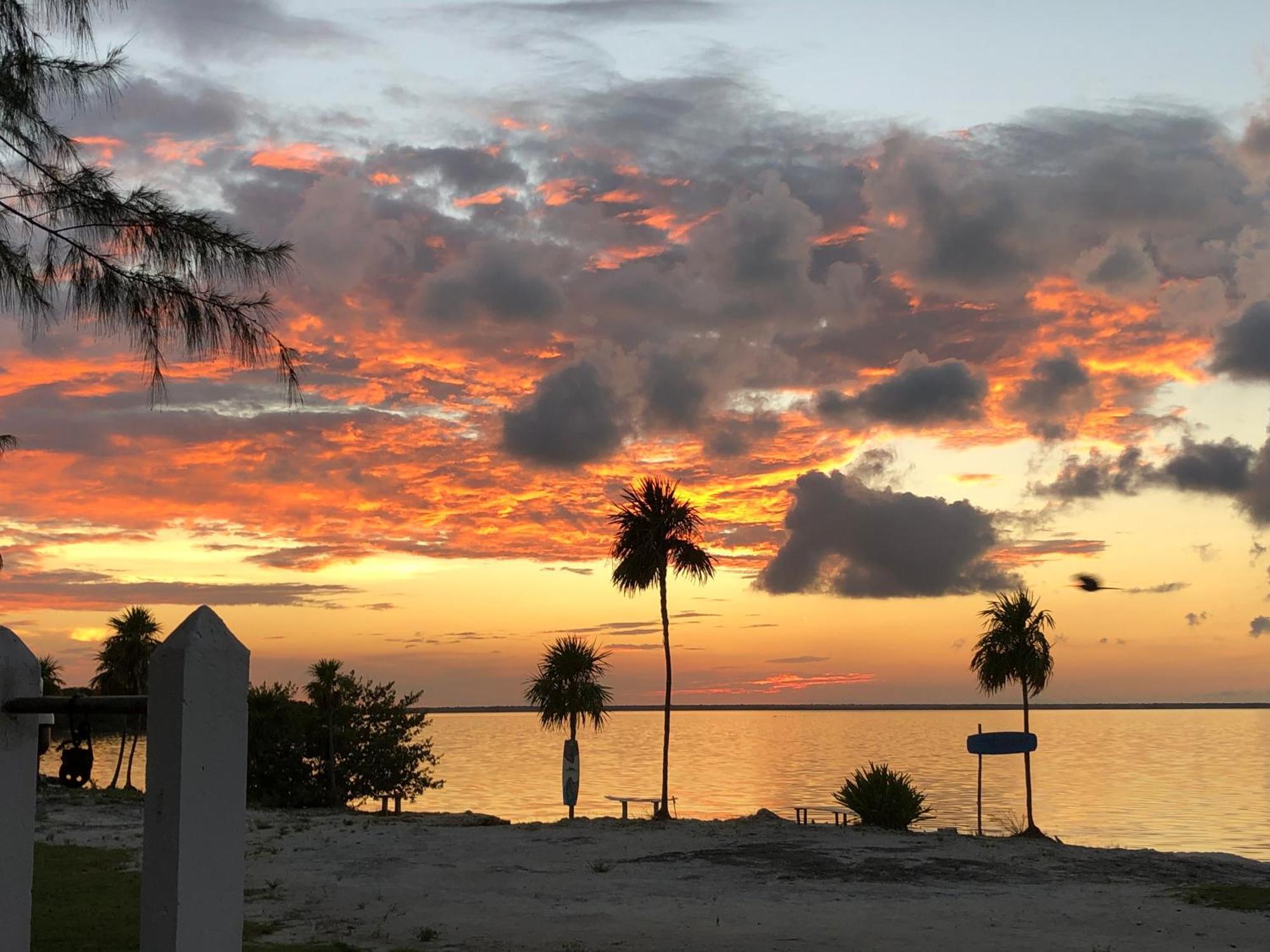 Ikarus Costa Mujeres Eco Lodge Sunset View Cancún Eksteriør billede