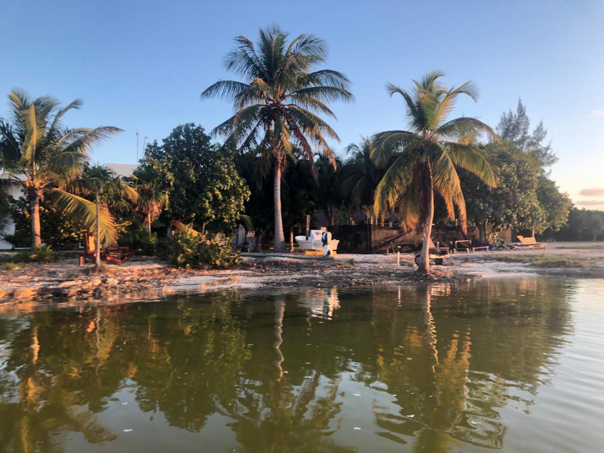 Ikarus Costa Mujeres Eco Lodge Sunset View Cancún Eksteriør billede
