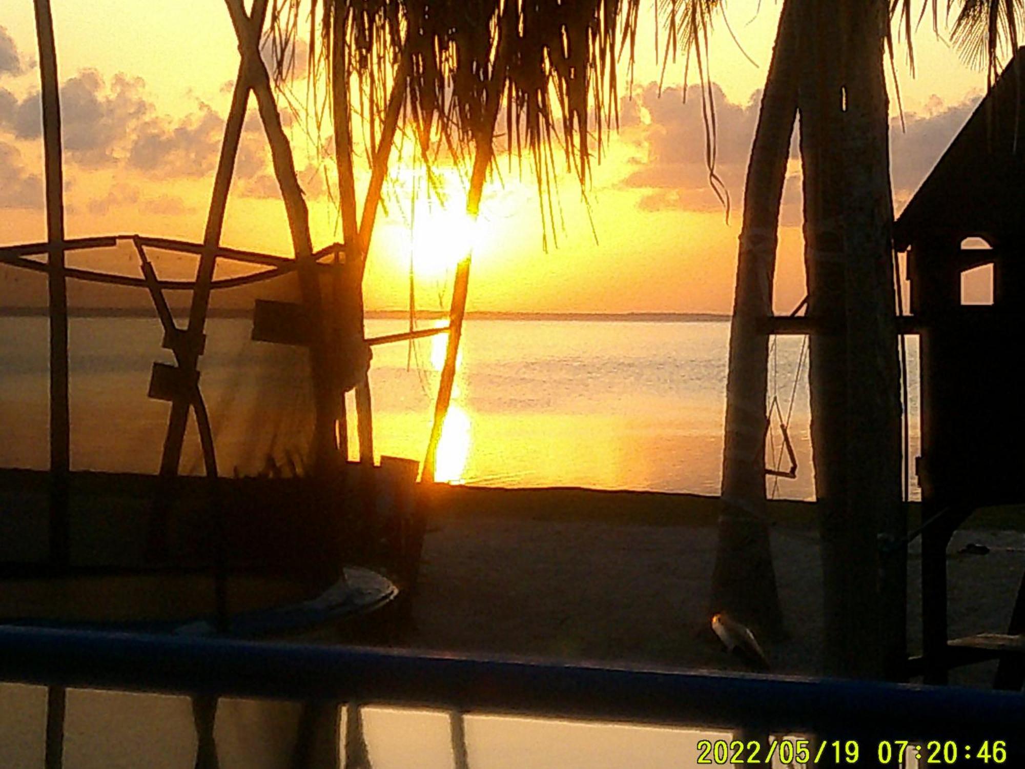 Ikarus Costa Mujeres Eco Lodge Sunset View Cancún Eksteriør billede