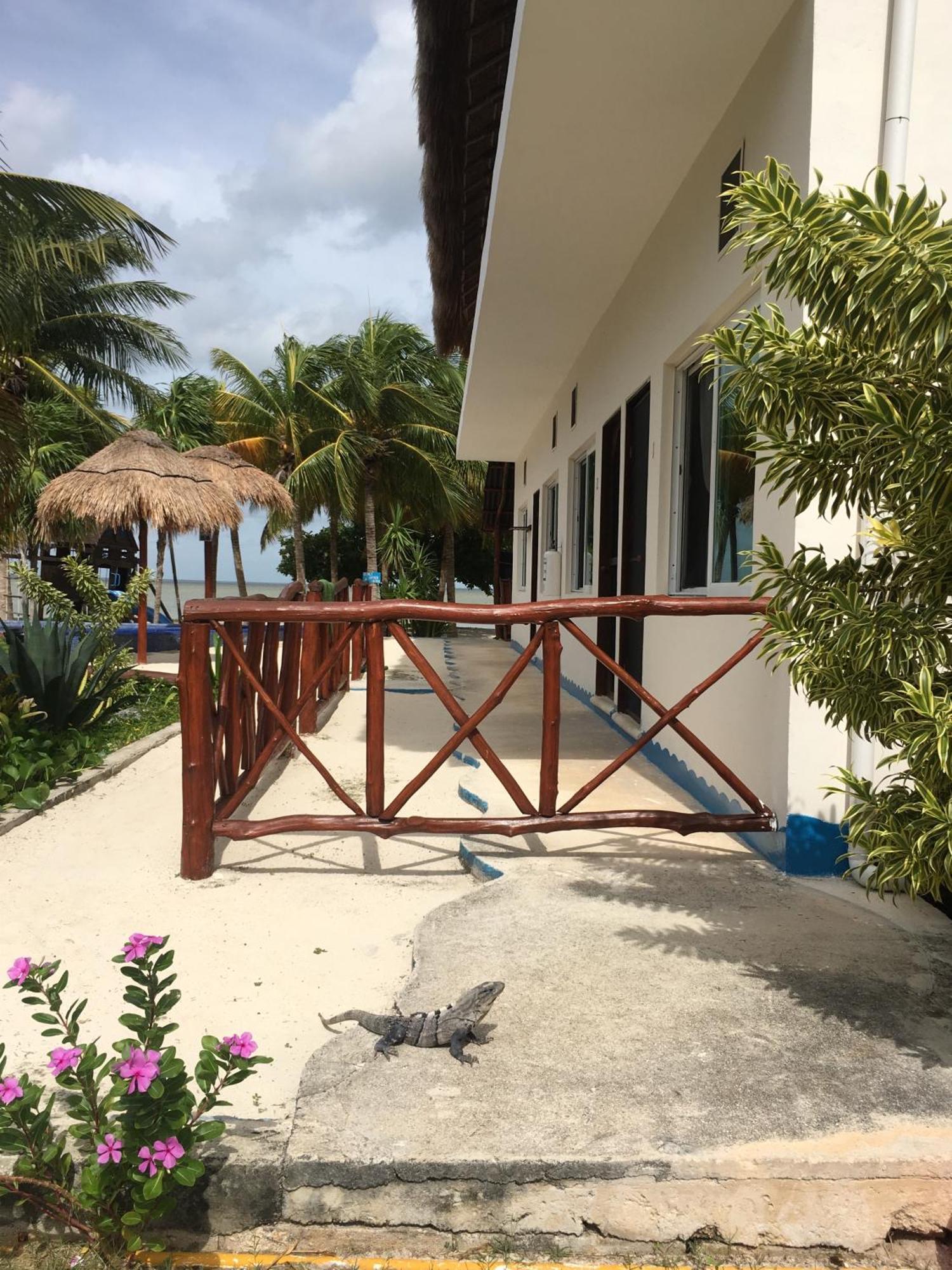 Ikarus Costa Mujeres Eco Lodge Sunset View Cancún Eksteriør billede