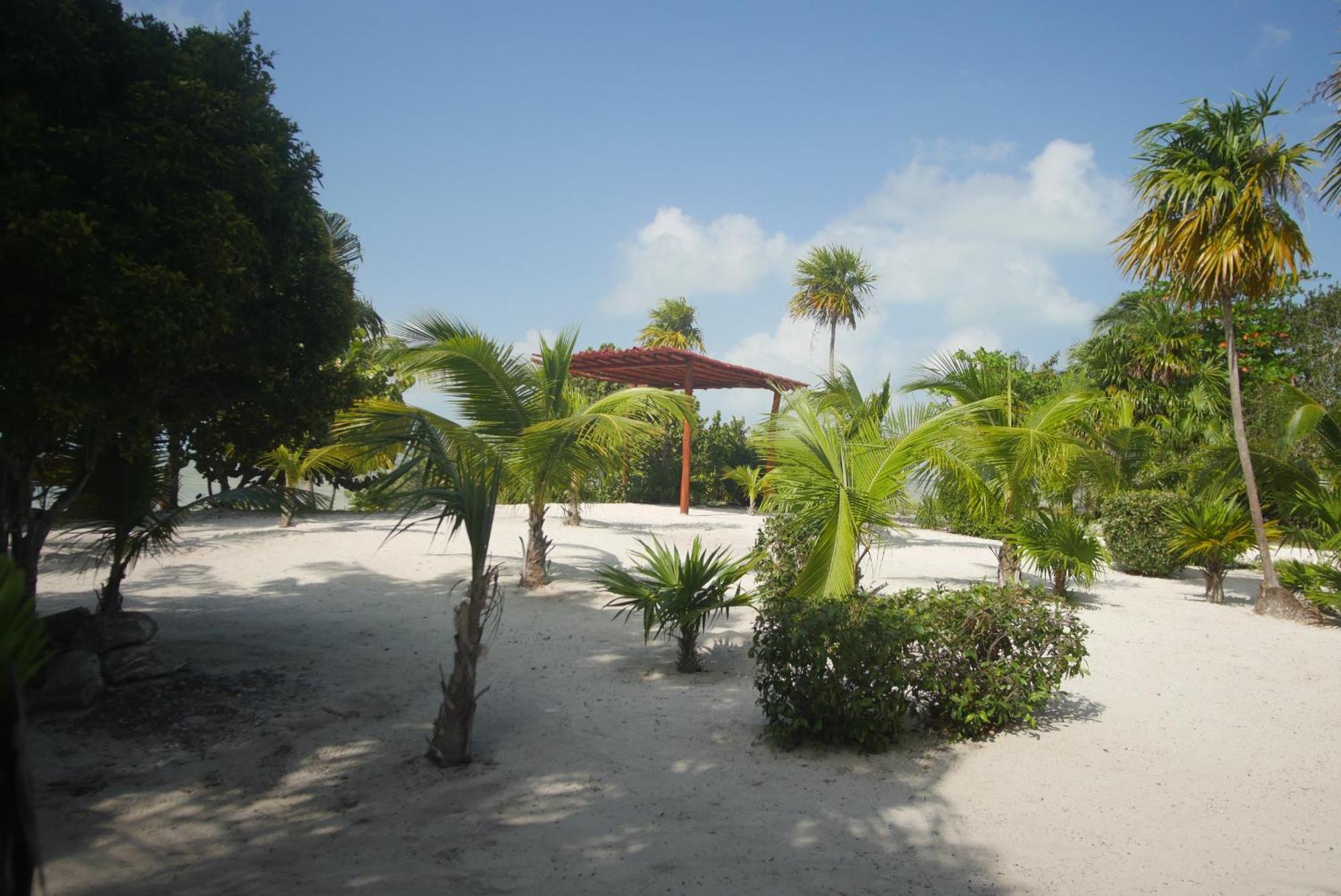 Ikarus Costa Mujeres Eco Lodge Sunset View Cancún Eksteriør billede